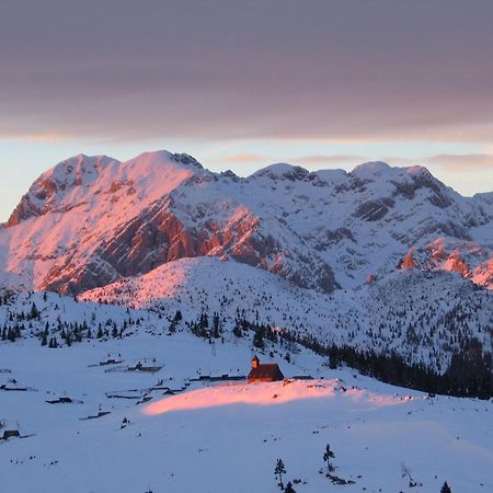 Velika Planina - Chalet Stane - Alps Stahovica 外观 照片