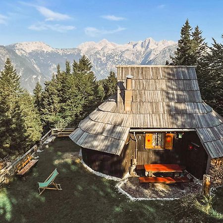 Velika Planina - Chalet Stane - Alps Stahovica 外观 照片