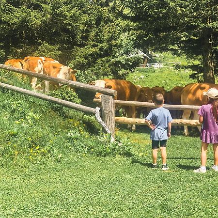 Velika Planina - Chalet Stane - Alps Stahovica 外观 照片