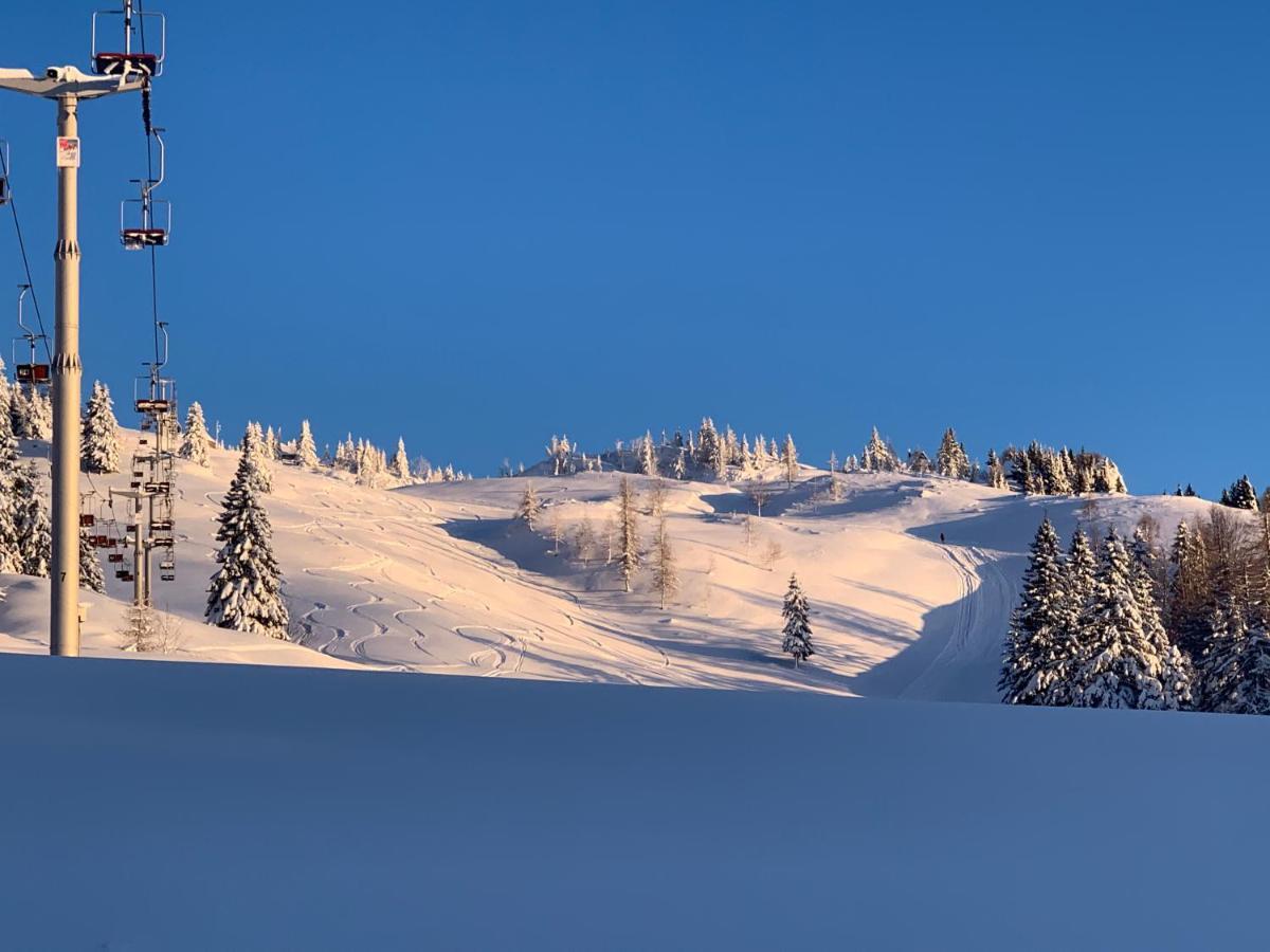 Velika Planina - Chalet Stane - Alps Stahovica 外观 照片