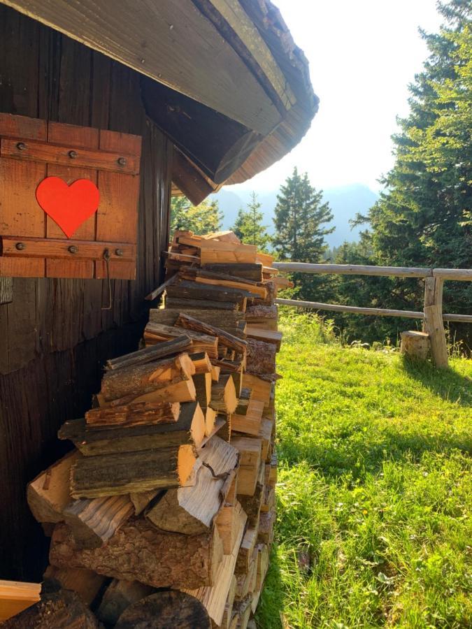 Velika Planina - Chalet Stane - Alps Stahovica 外观 照片