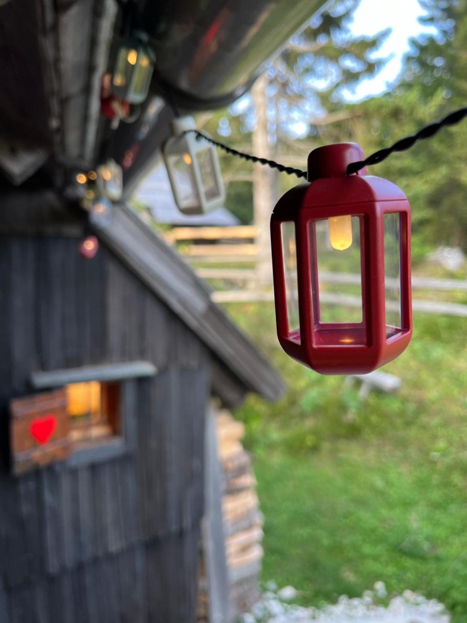 Velika Planina - Chalet Stane - Alps Stahovica 外观 照片