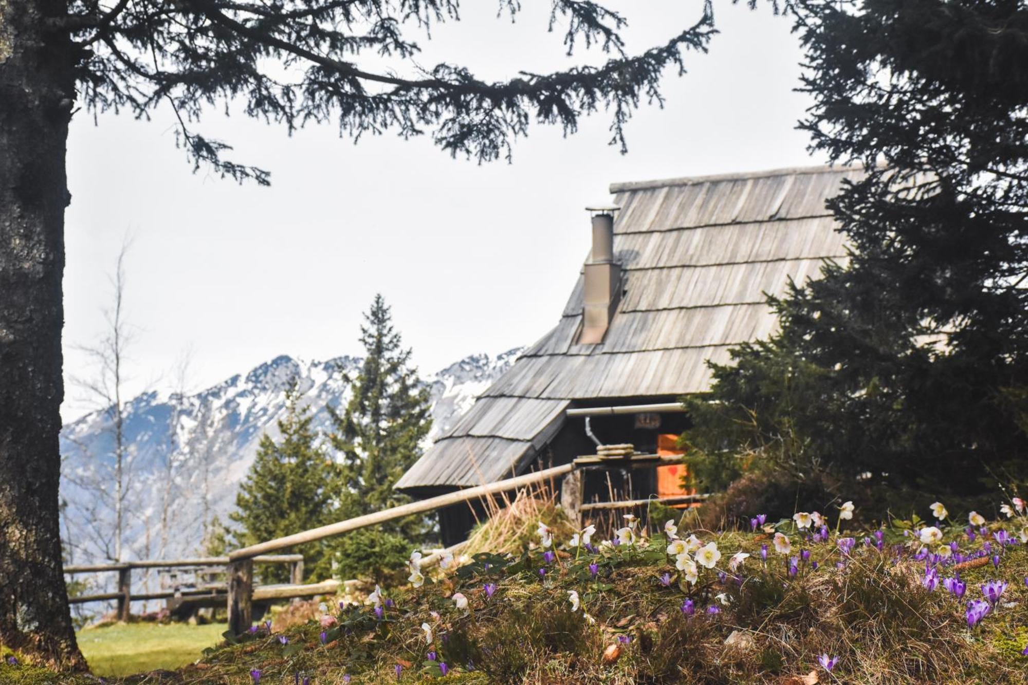 Velika Planina - Chalet Stane - Alps Stahovica 外观 照片