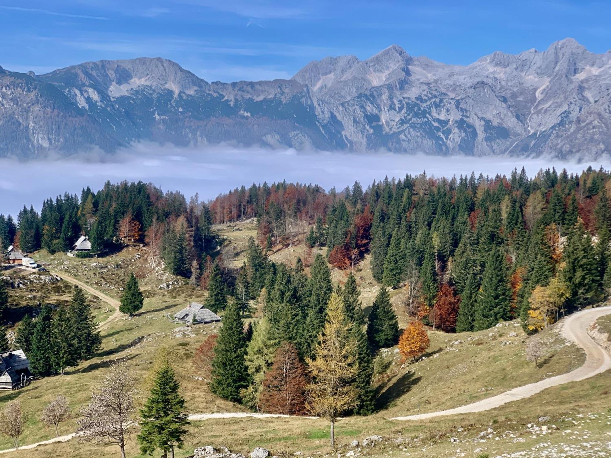 Velika Planina - Chalet Stane - Alps Stahovica 外观 照片