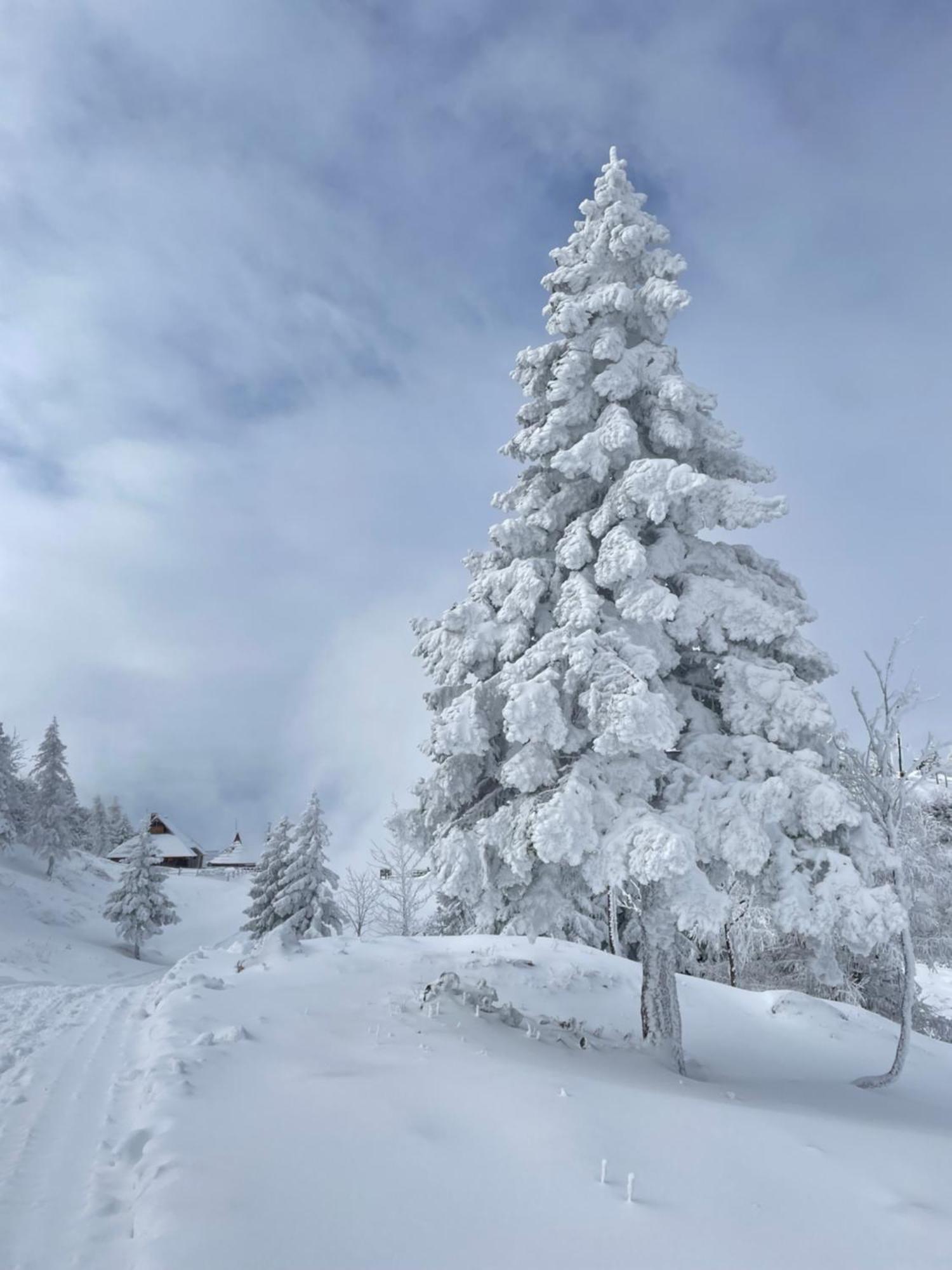 Velika Planina - Chalet Stane - Alps Stahovica 外观 照片
