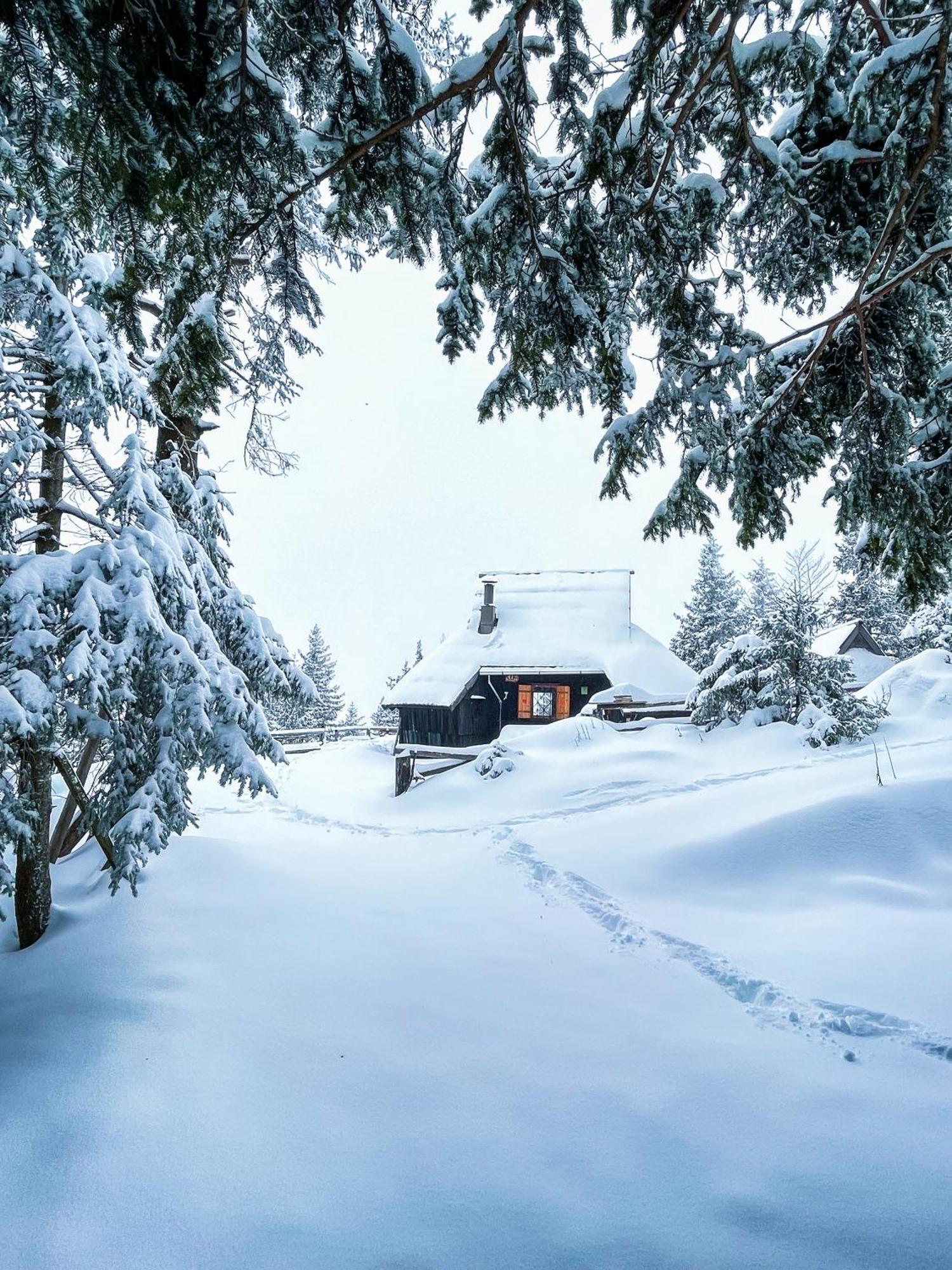 Velika Planina - Chalet Stane - Alps Stahovica 外观 照片