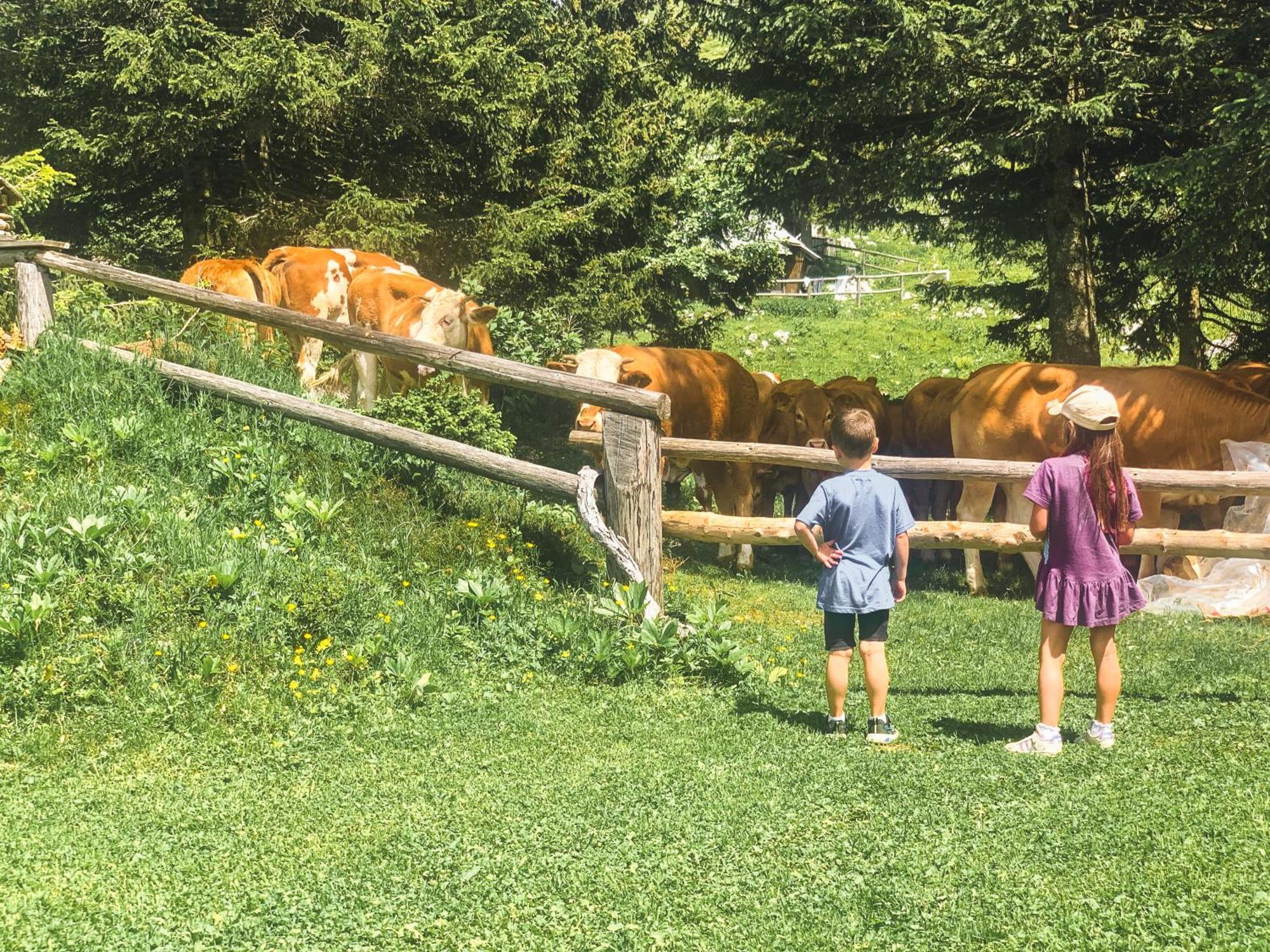 Velika Planina - Chalet Stane - Alps Stahovica 外观 照片